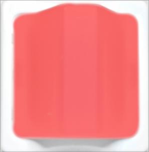 CS10-LS03